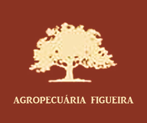 Agropecuária Figueira